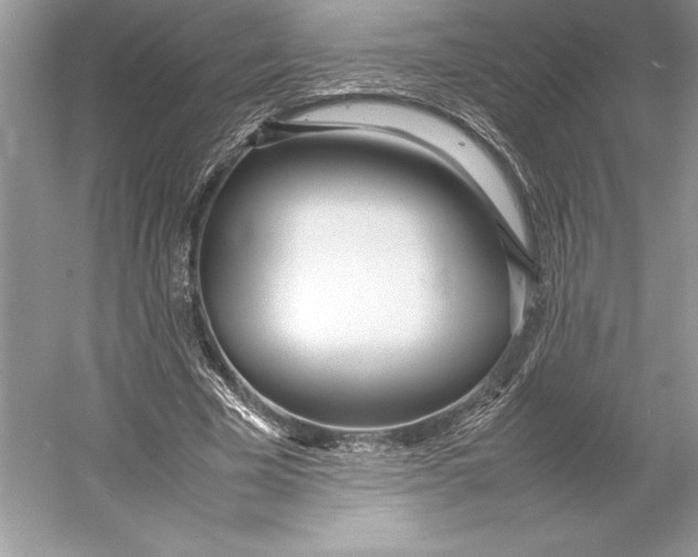 X0000052950585200508050924