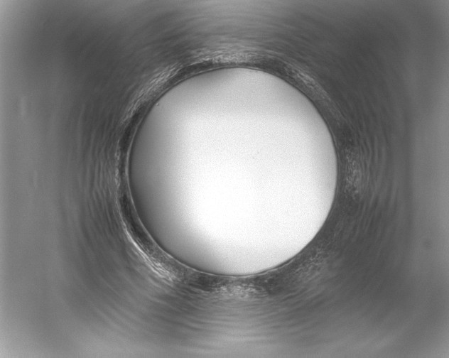 X0000052950586200508050924