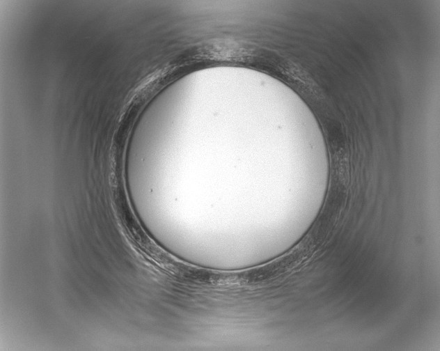 X0000052950587200508050924