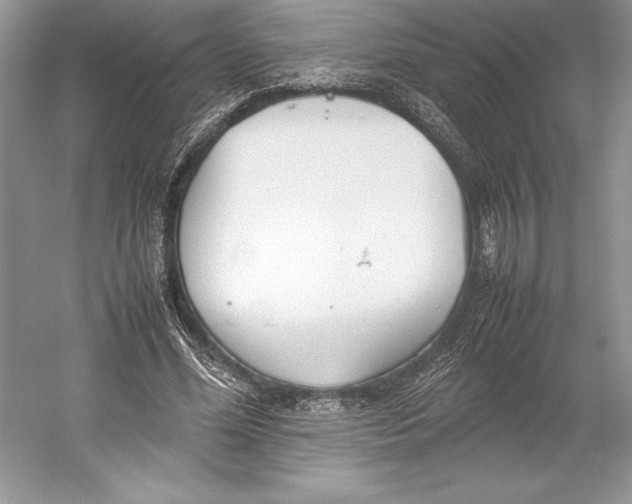 X0000052950588200508050924