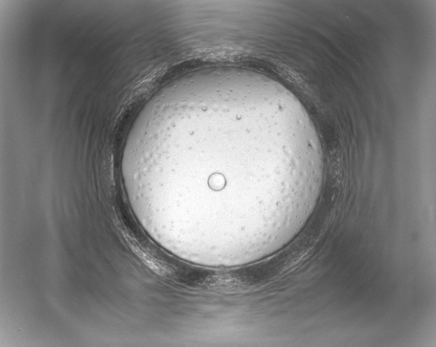 X0000052950589200508050924