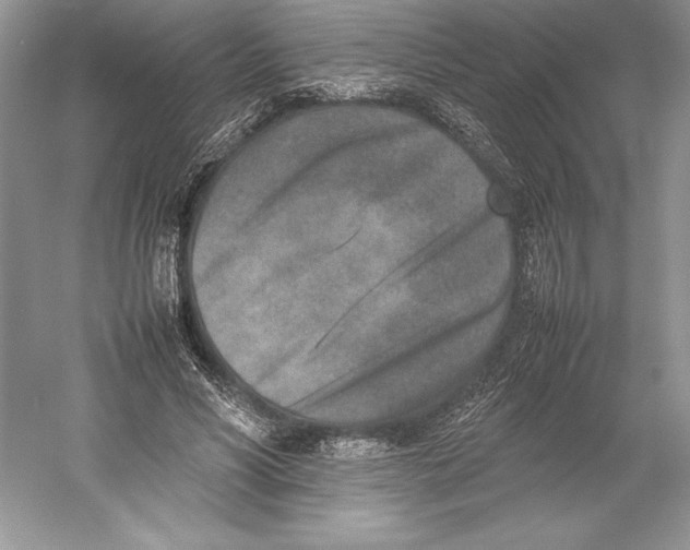 X0000052950590200508050924