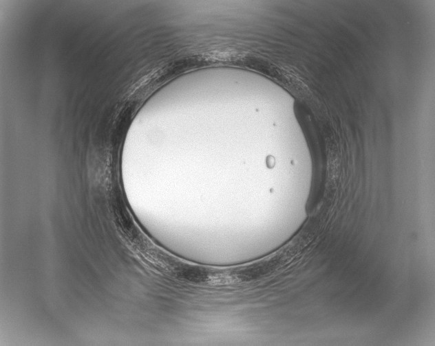 X0000052950591200508050924