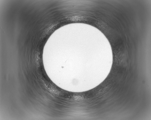 X0000052950592200508050924