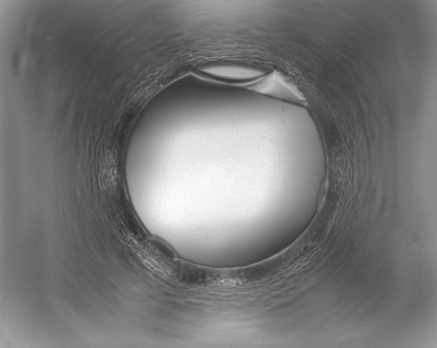 X0000052950593200508050924