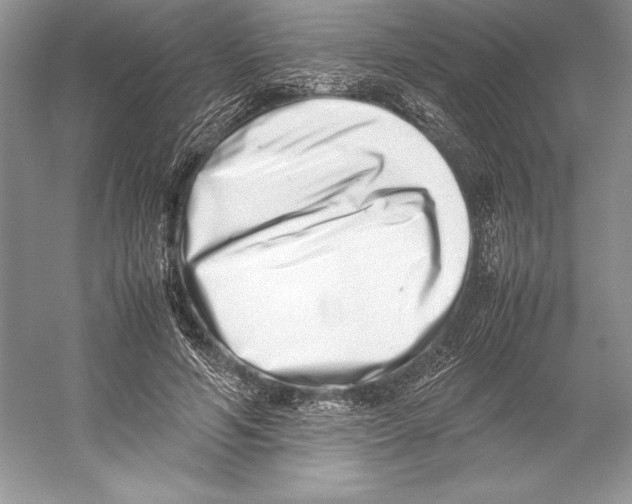 X0000052950594200508050924