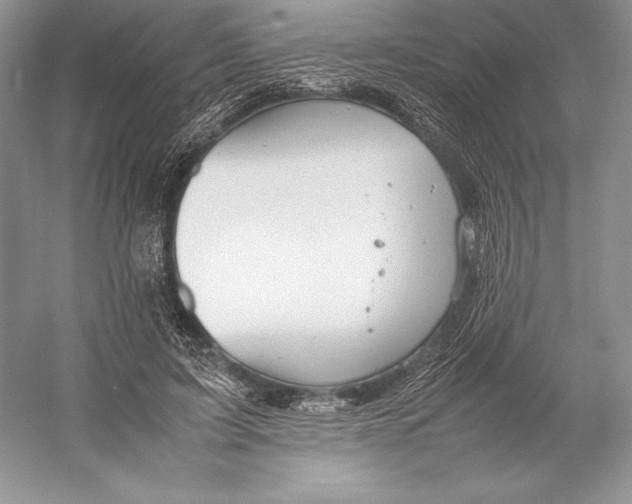 X0000052950595200508050924