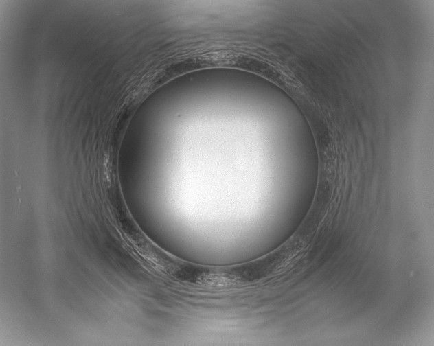 X0000052950597200508050924