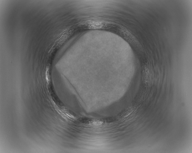 X0000052950598200508050924