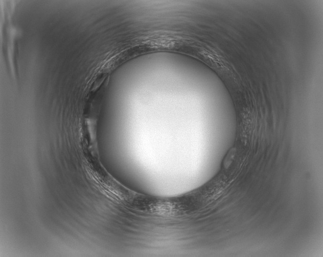 X0000052950600200508050924