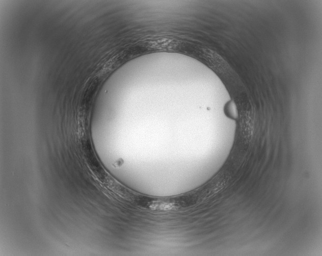 X0000052950602200508050924