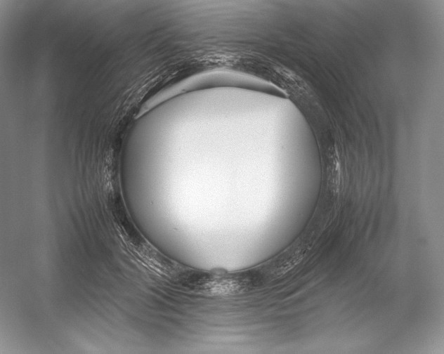 X0000052950604200508050924