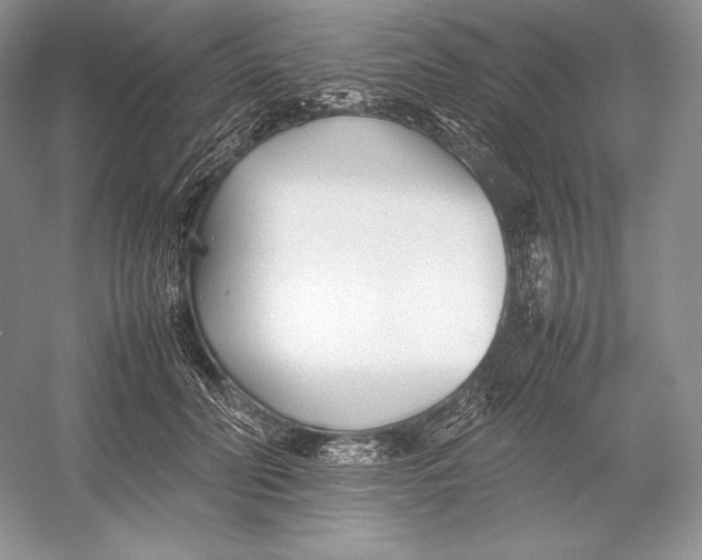 X0000052950606200508050924