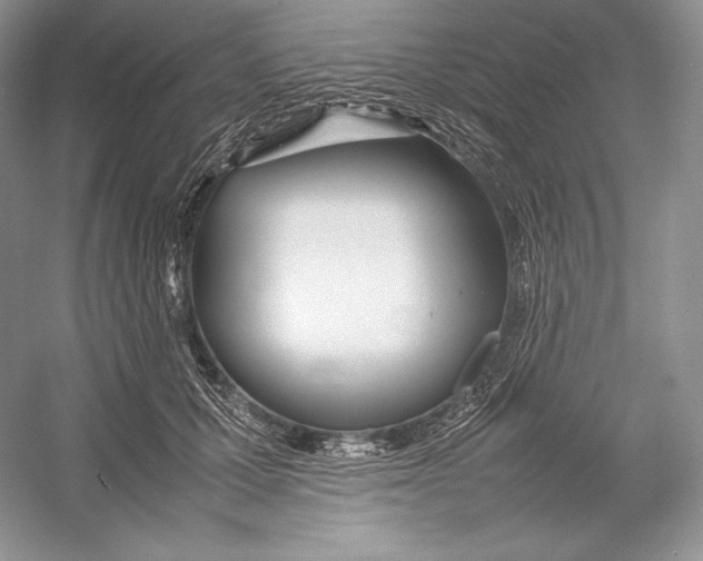 X0000052950607200508050924