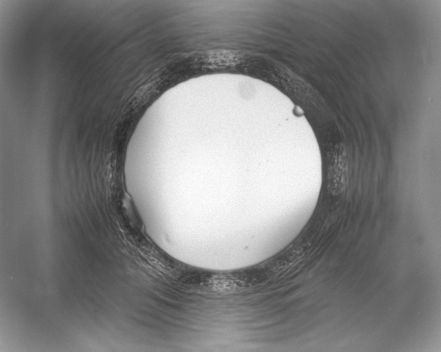 X0000052950608200508050924