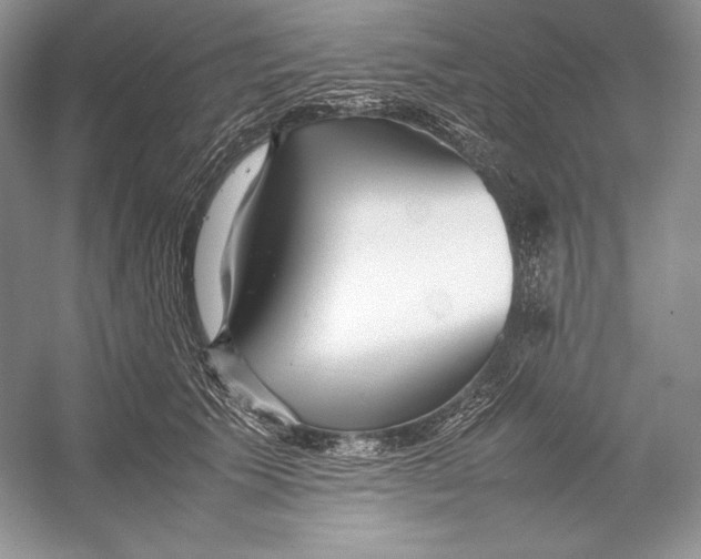 X0000052950609200508050924