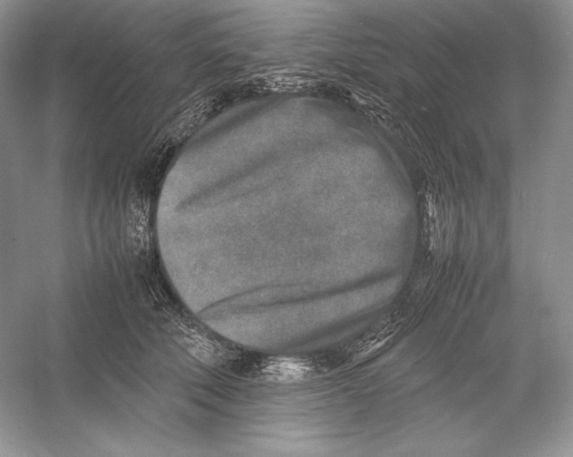 X0000052950610200508050924