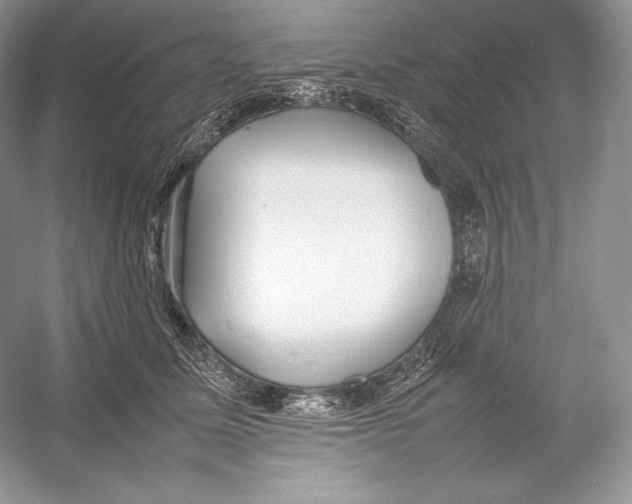 X0000052950611200508050924