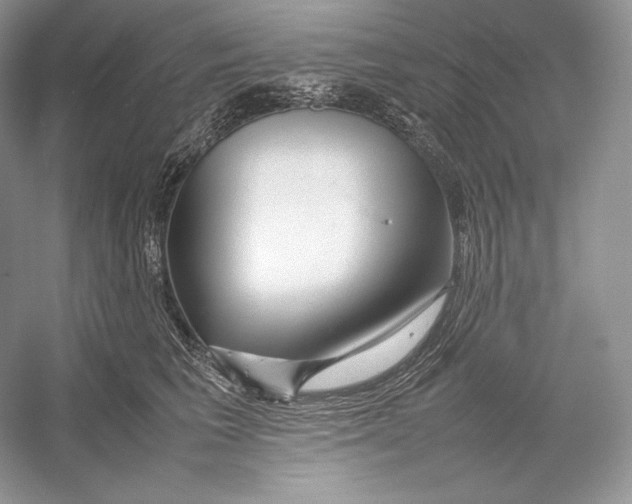 X0000052950613200508050924