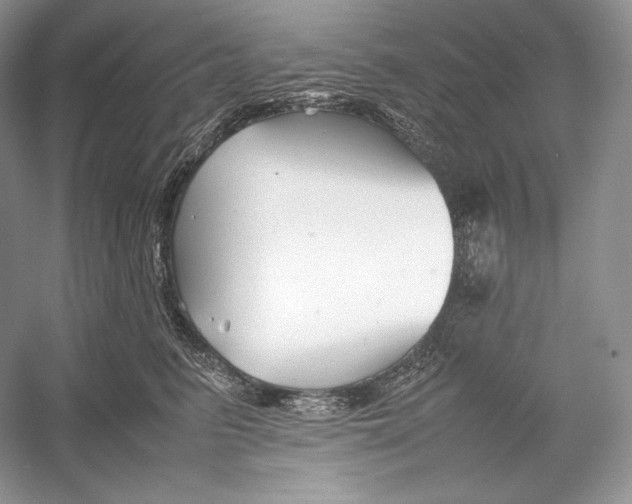 X0000052950615200508050924