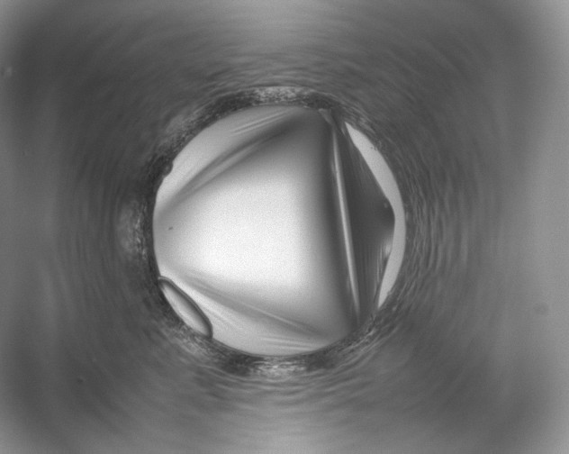 X0000052950619200508050924