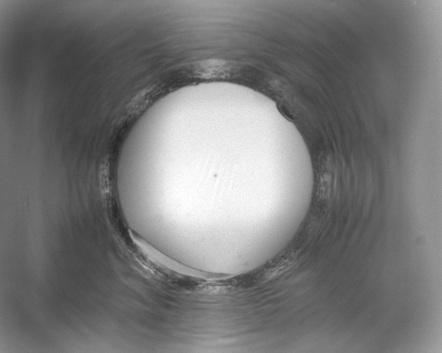 X0000052950620200508050924