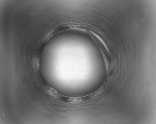 X0000052950621200508050924