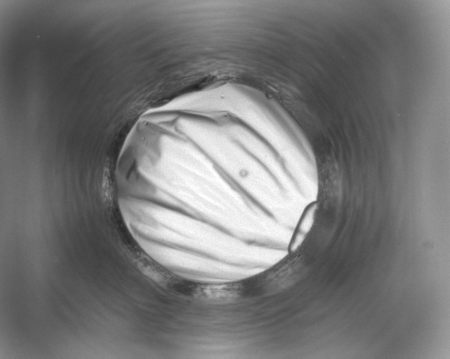 X0000052950622200508050924