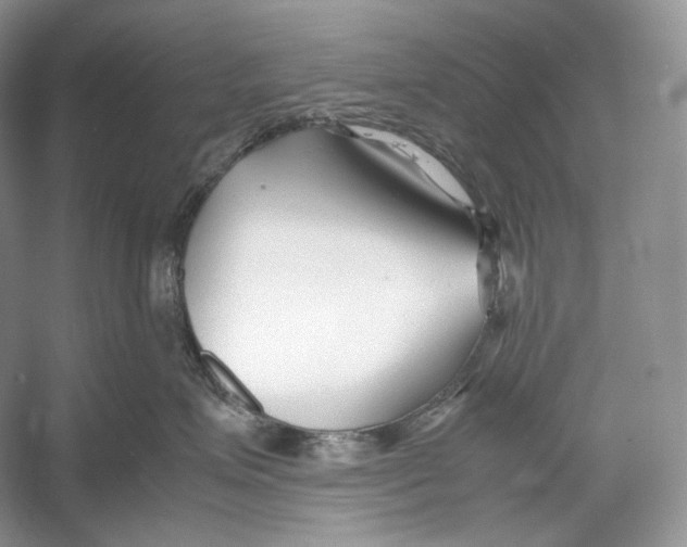 X0000052950623200508050924