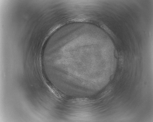 X0000052950626200508050923