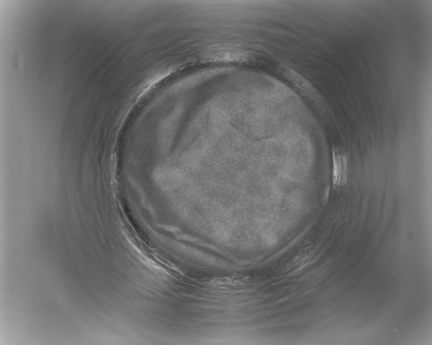 X0000052950627200508050923