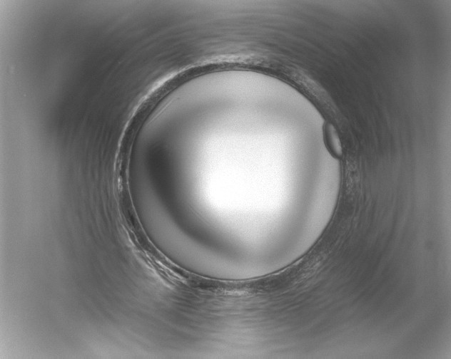 X0000052950628200508050923