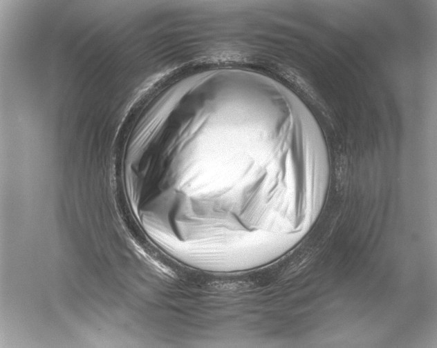 X0000052950629200508050923