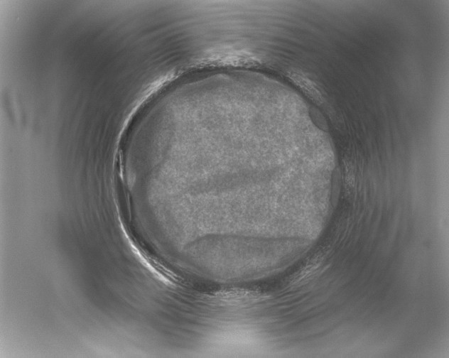 X0000052950630200508050923