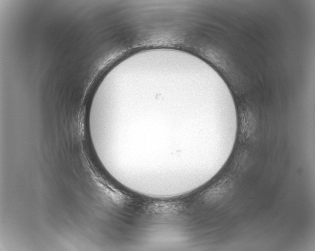 X0000052950632200508050923