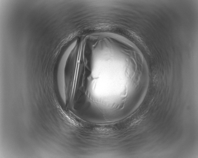 X0000052950633200508050923