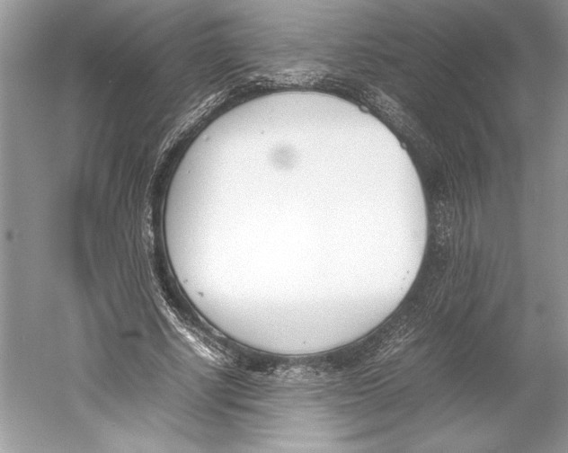 X0000052950634200508050923