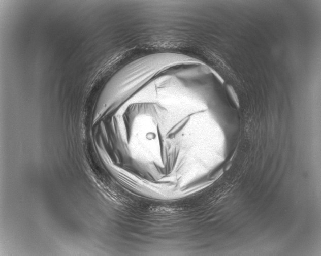 X0000052950635200508050923