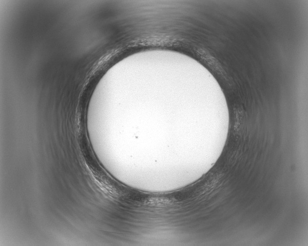 X0000052950636200508050923