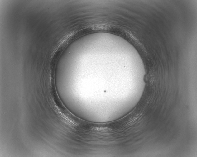 X0000052950637200508050923