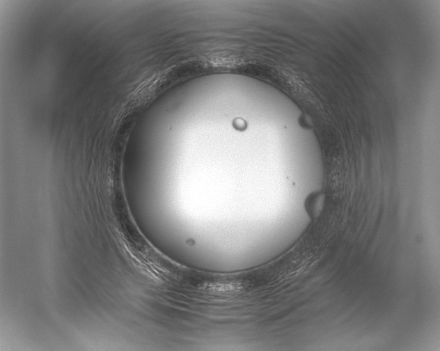 X0000052950639200508050923