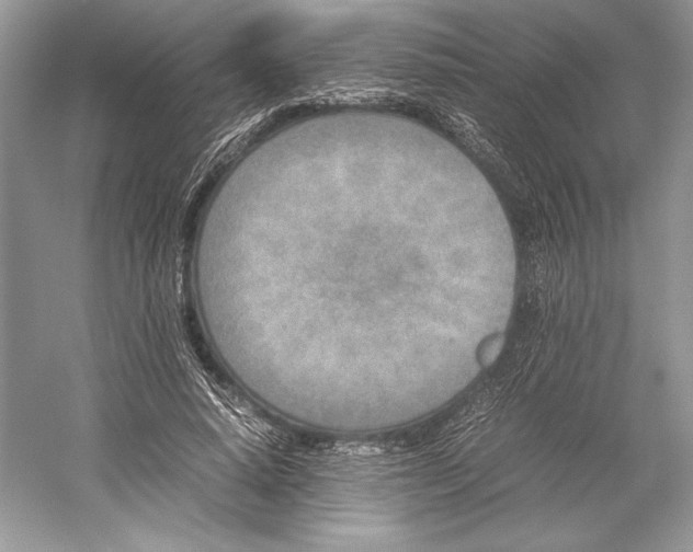 X0000052950640200508050923