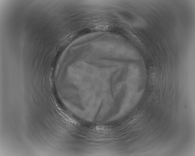 X0000052950641200508050923