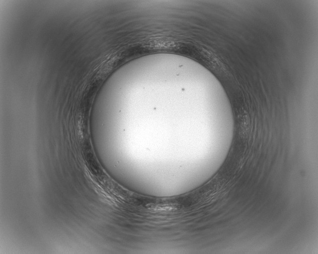 X0000052950643200508050923