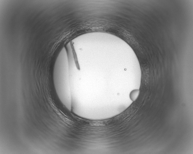 X0000052950644200508050923