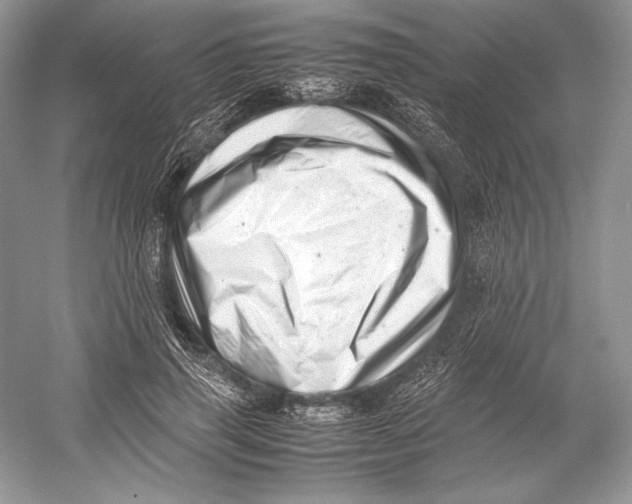 X0000052950645200508050923