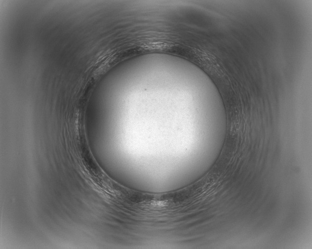 X0000052950647200508050923