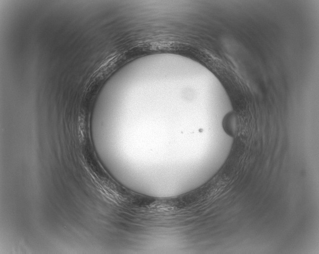 X0000052950648200508050923