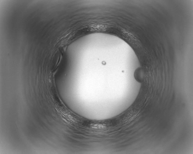 X0000052950649200508050923