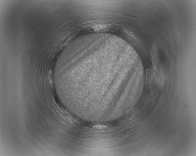 X0000052950650200508050923